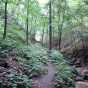 Color image of Bluff trail at Interstate State Park, 2015. Photograph by Minnesota Department of Natural Resources Staff.