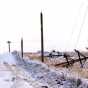 Color image of power lines in Hayward destroyed by the Halloween Blizzard, 1991. Photograph by Joey Mcleister, Minneapolis Star Tribune.