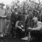 Black and white photograph of individuals evaluating stalks and ears of the corn in a field to select the best seed for the following year, c.1940s.