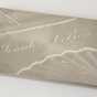 Governor Knute Nelson's aluminum calling card case