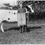 Black and white photograph of 4H Calf Club champion and his calf, 1923. 