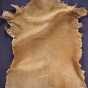 Tanned deer hide