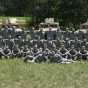 Color image of a platoon of the 34th Military Police Company, 34th Infantry Division, during annual field training at Camp Ripley, June 2016. 