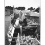 Produce vendor on Highway 61