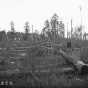 Slash in a Minnesota forest, ca. 1905. Slash is the debris that remains in an area after it has been logged. Forms part of C. C. Andrews photograph collection (I.99). 