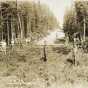 Black and white photograph of Civilian Conservation Corps workers building a road near Roosevelt, Minnesota, ca. 1933. Photographed by J. A.Gjelhaug.