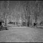 Southwest section of Civilian Conservation Corps Camp Rabideau F-50, looking northeast, with (left to right) picnic shelter, barracks, forest service officer’s quarters, and hospital. Photo by Jerry Mathiason, 1994. From box 1 (144.G.8.4F) of Historic American Buildings Survey records related to Minnesota structures, 1882-2001, 1883. Manuscripts Collection, Minnesota Historical Society, St. Paul.