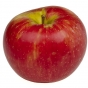 Honeycrisp apple