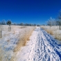 Road through Frontenac State Park in winter