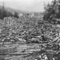 Black and white photograph of a log Jam at Taylors Falls, 1886. 