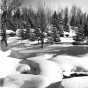 Winter on the Devil Track of the Gunflint Trail. Photograph by Norton & Peel, March 20, 1955.