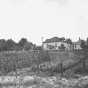 Oliver Mining Company employee gardens, 1923. Oliver Mining Company allowed employees to plant and harvest from gardens within their communities. This garden was located in Fayal Location, near Eveleth. 