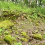 Marine Mill ruins, 2008