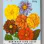 Northrup King Dahlia seed packet