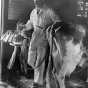 Black and white photograph of a farmer adjusting a milking machine on a Dakota County dairy farm, 1939. Photographed by Arthur Rothstein, Farm Security Administration.