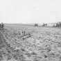 Black and white photograph of a horse and tractor farming in Roseau County, ca. 1920.