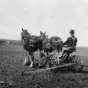 Farmer planting corn, ca. 1910. Photograph by Harry Darius Ayer.