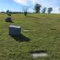 Headstones at Fergus Falls State Hospital cemetery