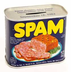 What Is SPAM and How Is It Used?