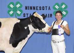 Color image of 4-H club member Hannah Rolf showing off her three-year-old Holstein dairy cow at the Minnesota State Fair, 2015. 