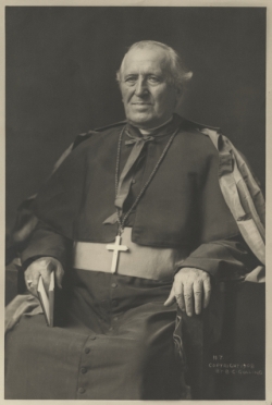 John Ireland, St. Paul