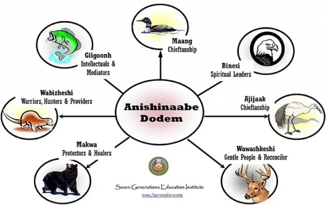 Diagram of Anishinaabe doodem (clans)