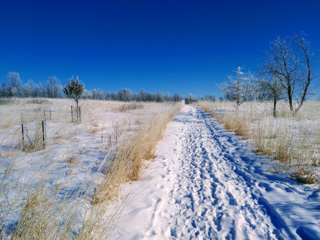 Road through Frontenac State Park in winter