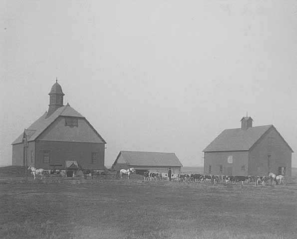 Black and white photograph of farm buildings at the State School, 1905.