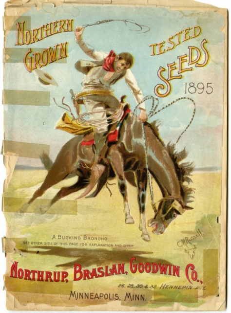 Cover of a Northrup, Braslan, Goodwin Company seed catalog, 1895