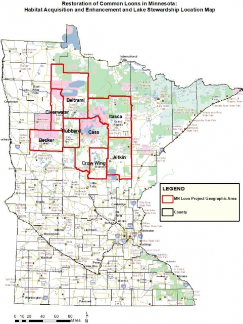 Minnesota Loon Restoration Project map