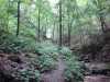 Color image of Bluff trail at Interstate State Park, 2015. Photograph by Minnesota Department of Natural Resources Staff.