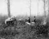 Black and white photograph of men and Red River carts near Dennis Lake, Manitoba, 1897.