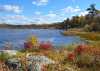 Color image of the rocky shoreline in Lake Vermilion–Soudan Underground Mine State Park. Photograph by Minnesota Department of Natural Resources Staff.