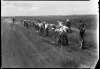 Black and white photograph of drought farmers working on a farm to market road in Foster Township, south of Beardsley in Big Stone County, 1936.