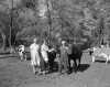 Black and white photograph of owners of a family farm in Maple Plain pose with their animals, October 10, 1955.