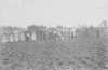 Black and white photograph of workers hoeing sugar beets in a field in Carver County. Date and photographer unknown. 