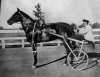 Dan Patch and driver