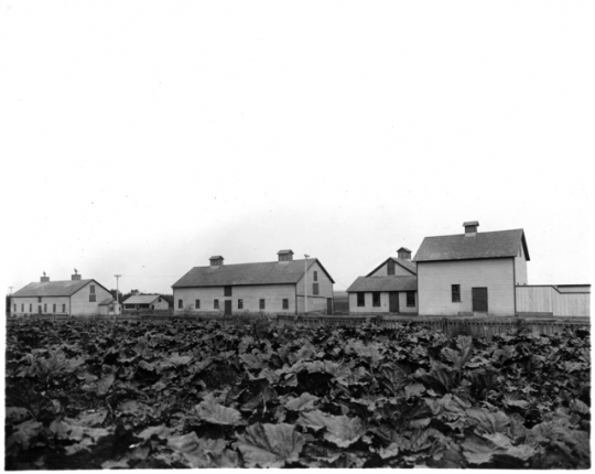 Piggeries and slaughter house, Fergus Falls State Hospital, Fergus Falls