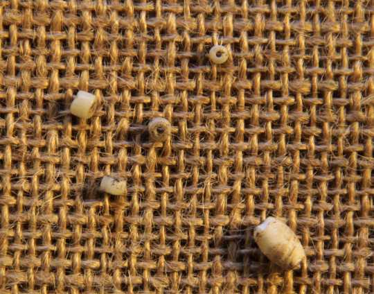 Color image of four small beads from 2009 excavation and one larger bead from 2010. 