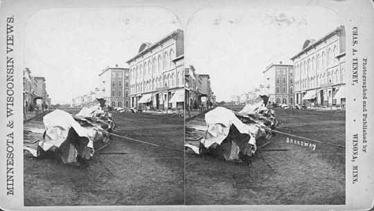 Cyclone damage, Rochester.