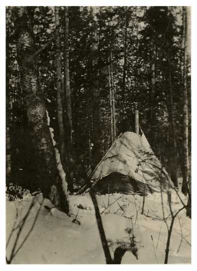 Wigwam on Nett Lake Reservation of Ojibwe, 1918.
