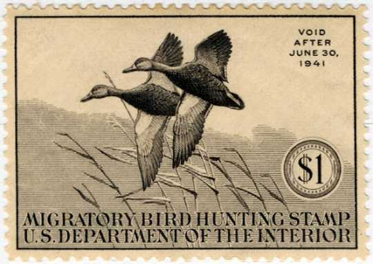 Federal Duck Stamp Design
