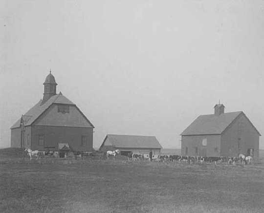 Black and white photograph of farm buildings at the State School, 1905.