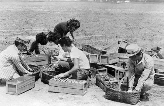 Mexican American migrant farm workers 