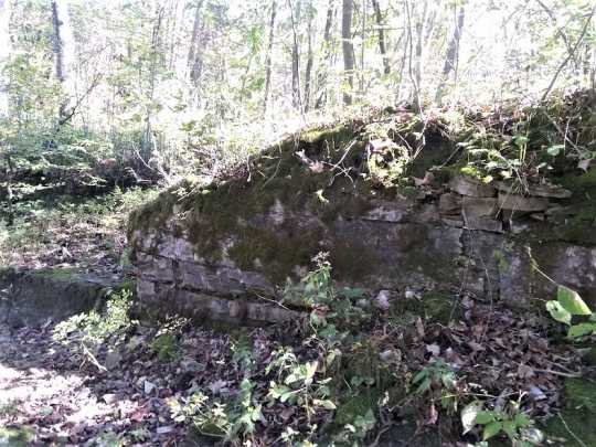 Nerstrand Big Woods State Park limestone, undated. Limestone quarried from the park was used to build local house houses, churches, and businesses. Used with the permission of Rice County Historical Society.