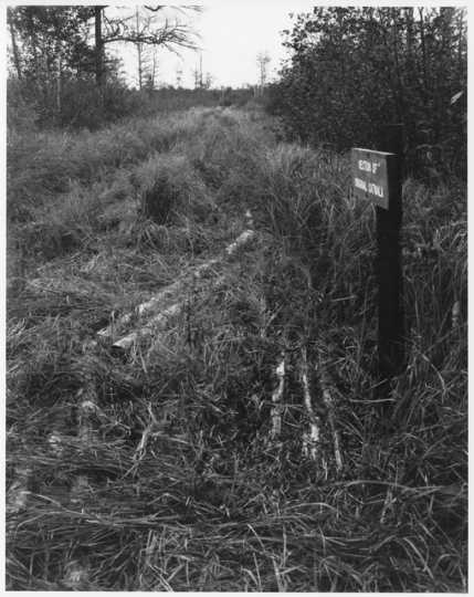 Section of original catwalk, Savanna Portage, ca. 1980. Photograph by Alan Ominsky.