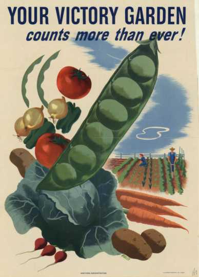 American World War II poster promoting victory gardens. 1944. Artist: Morley Size. 