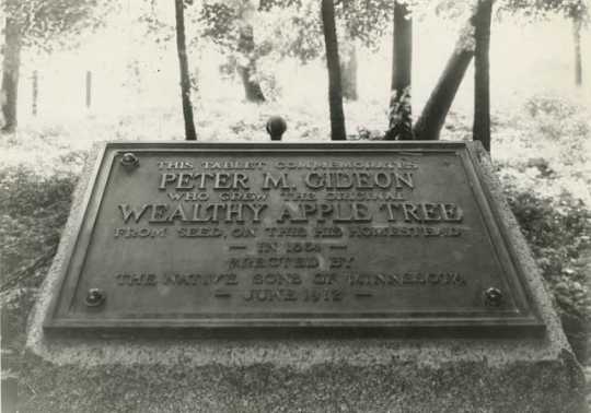 Tablet to Peter M. Gideon