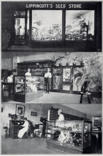 Views of Lippincott’s Seed Store