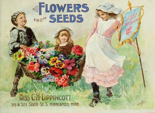 Carrie H. Lippincott seed catalog cover, 1897